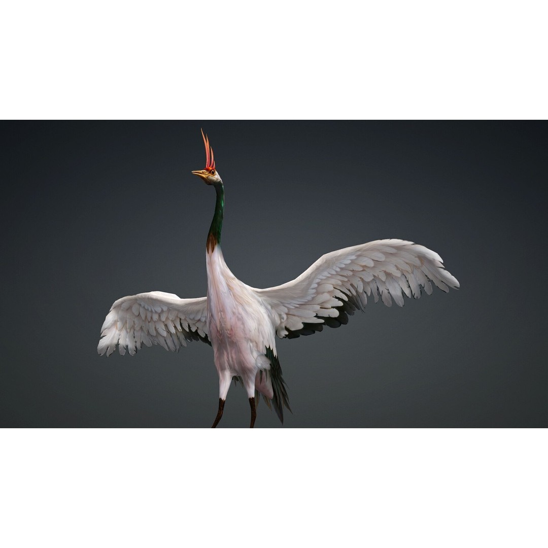 Crane Bird-B3 3D Model – Rigged Animated Asset with PBR Textures - View 8