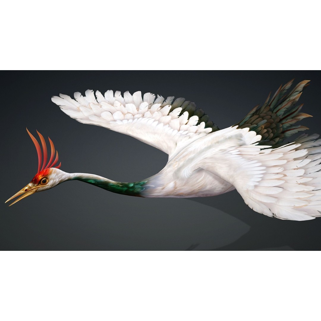 Crane Bird-B3 3D Model – Rigged Animated Asset with PBR Textures - View 9