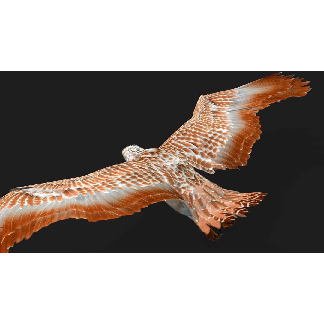 Eagle V2E 3D Model – Rigged Animated Bird with PBR Textures - View 12