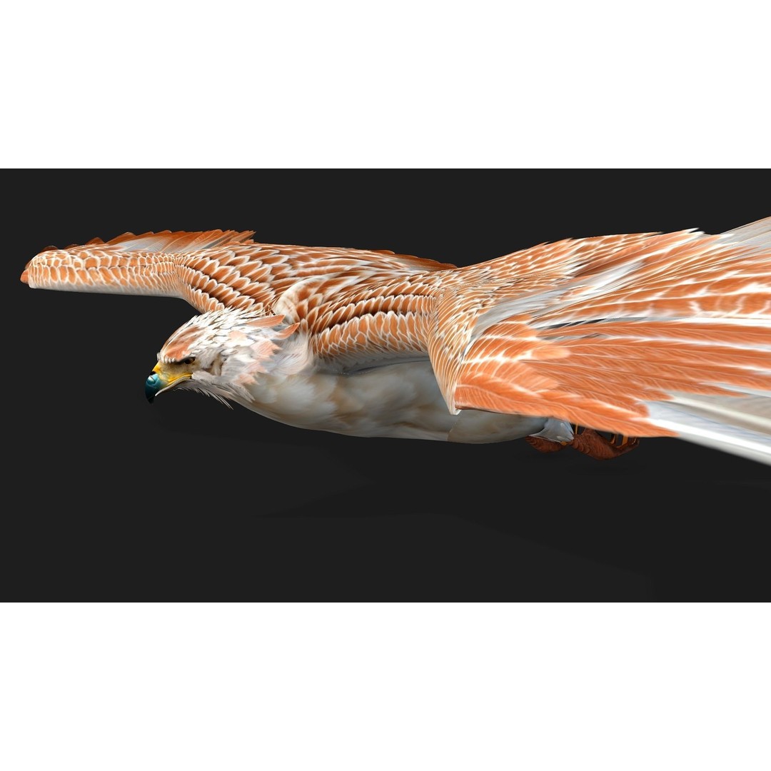 Eagle V2E 3D Model – Rigged Animated Bird with PBR Textures - View 13