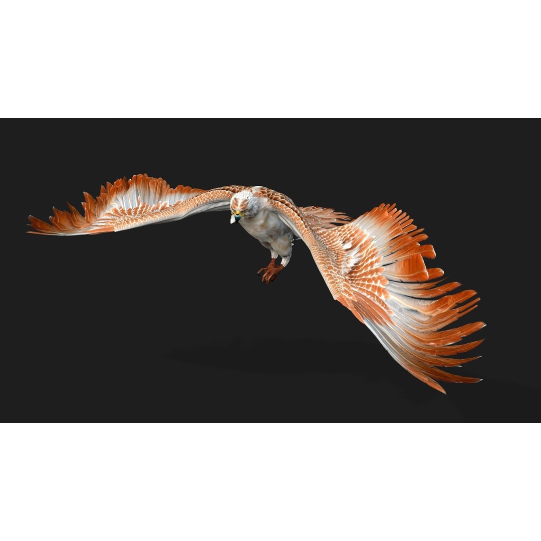 Eagle V2E 3D Model – Rigged Animated Bird with PBR Textures - View 14