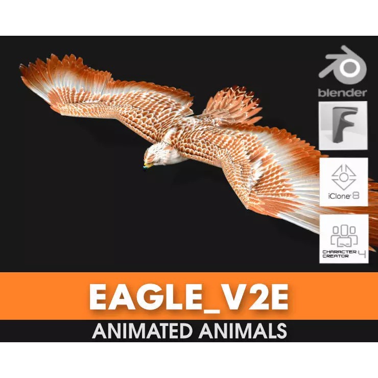 Eagle V2E 3D Model – Rigged Animated Bird with PBR Textures - View 2