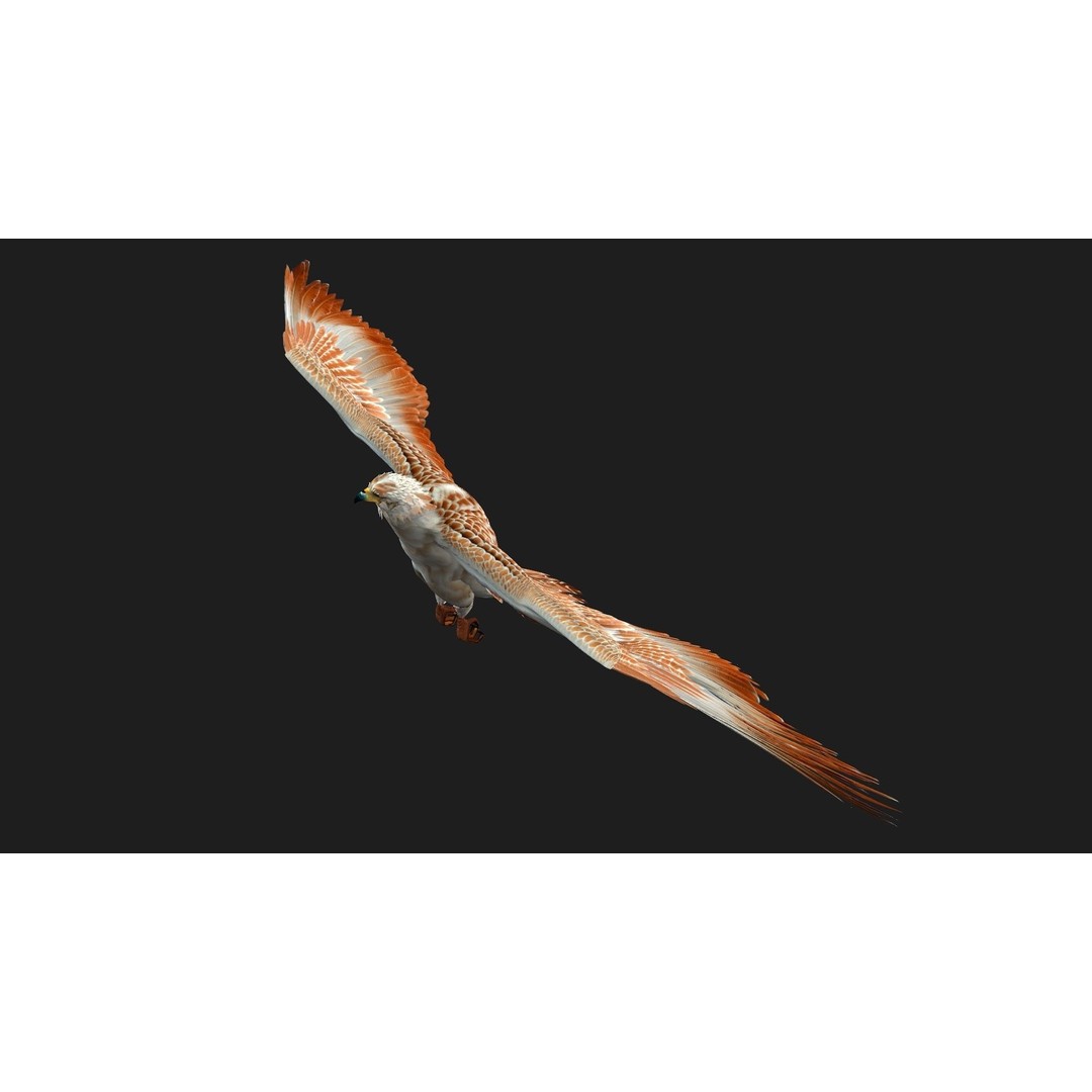 Eagle V2E 3D Model – Rigged Animated Bird with PBR Textures - View 4