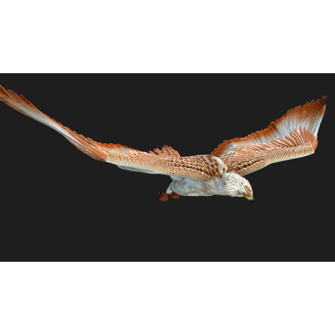 Eagle V2E 3D Model – Rigged Animated Bird with PBR Textures - View 5