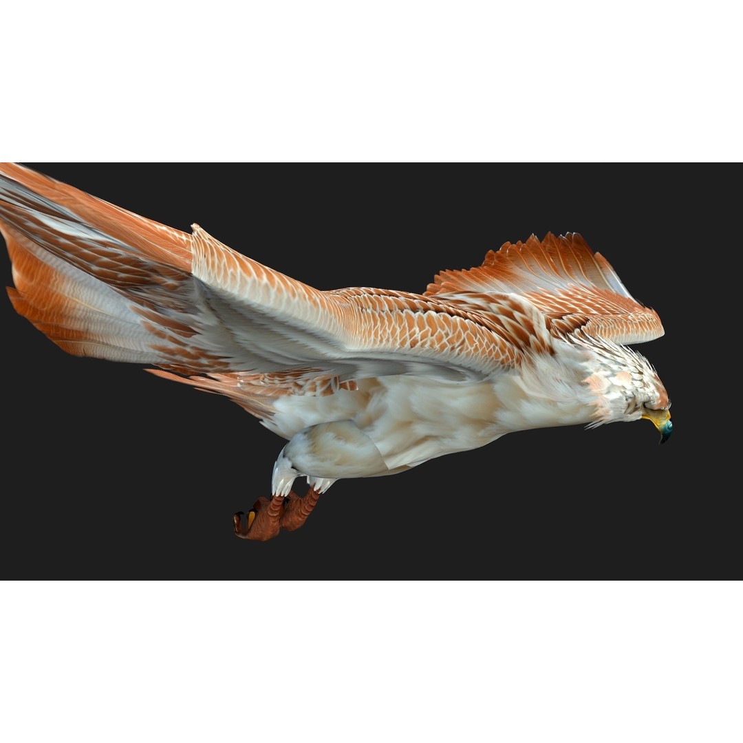 Eagle V2E 3D Model – Rigged Animated Bird with PBR Textures - View 6