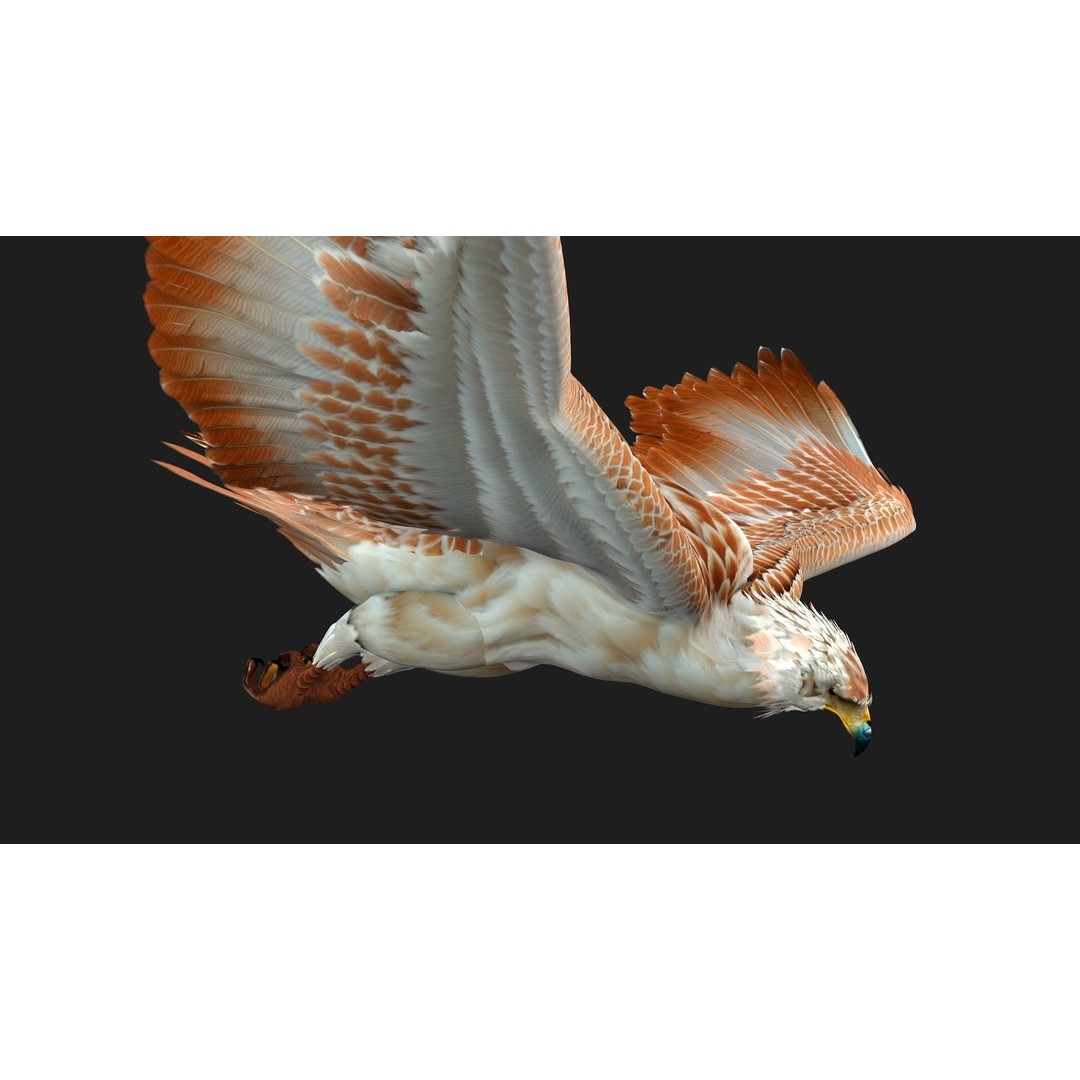 Eagle V2E 3D Model – Rigged Animated Bird with PBR Textures - View 8
