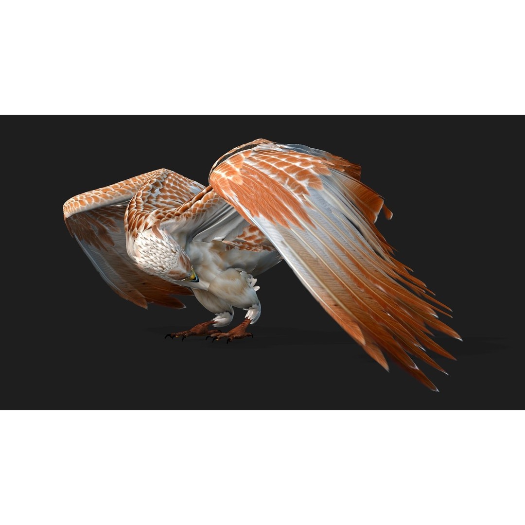 Eagle V2E 3D Model – Rigged Animated Bird with PBR Textures - View 9