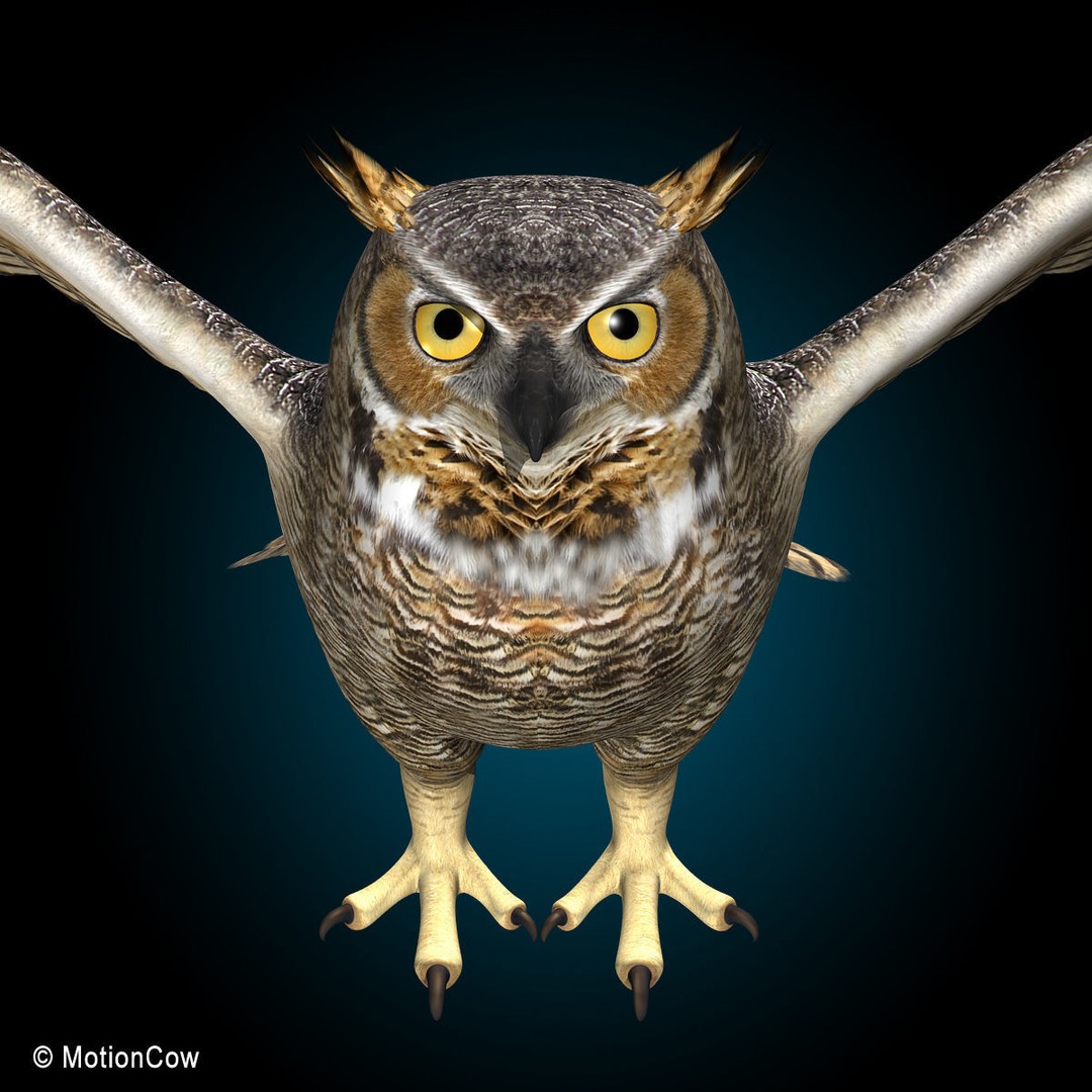 Great Horned Owl 3D Model – Rigged Animated Flight Asset, FBX - View 10