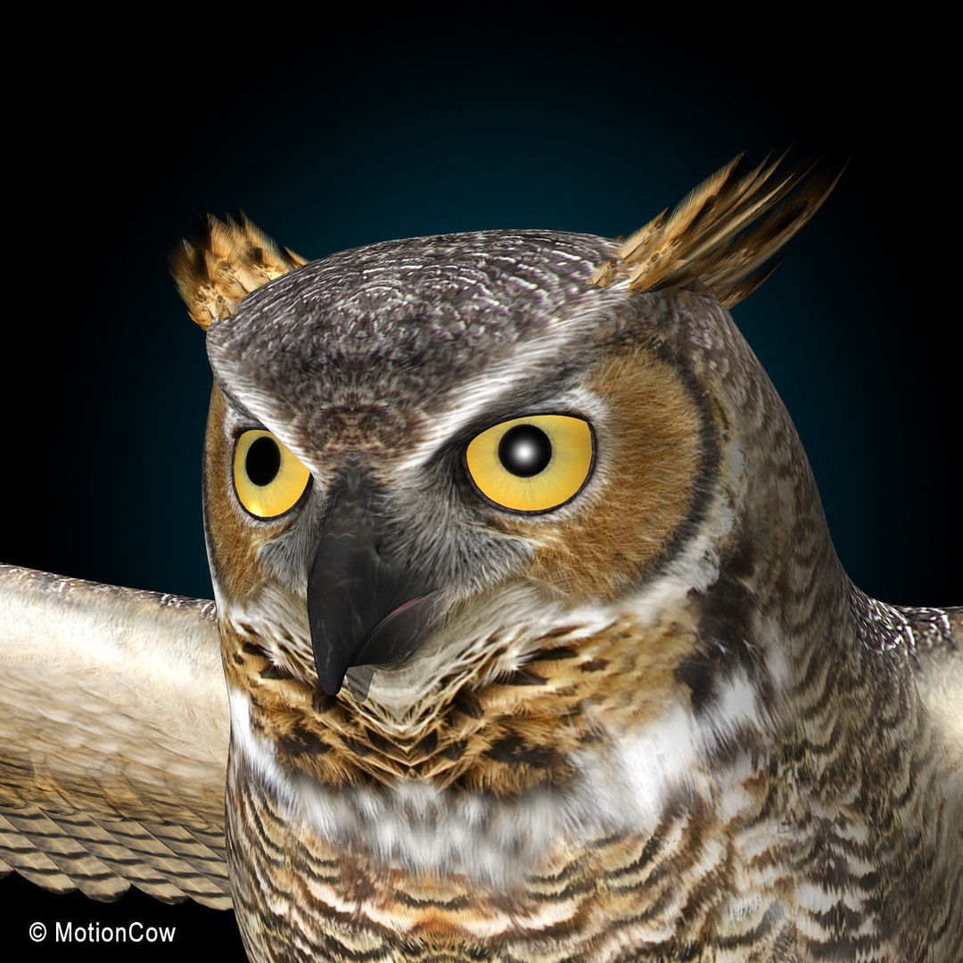 Great Horned Owl 3D Model – Rigged Animated Flight Asset, FBX - View 11