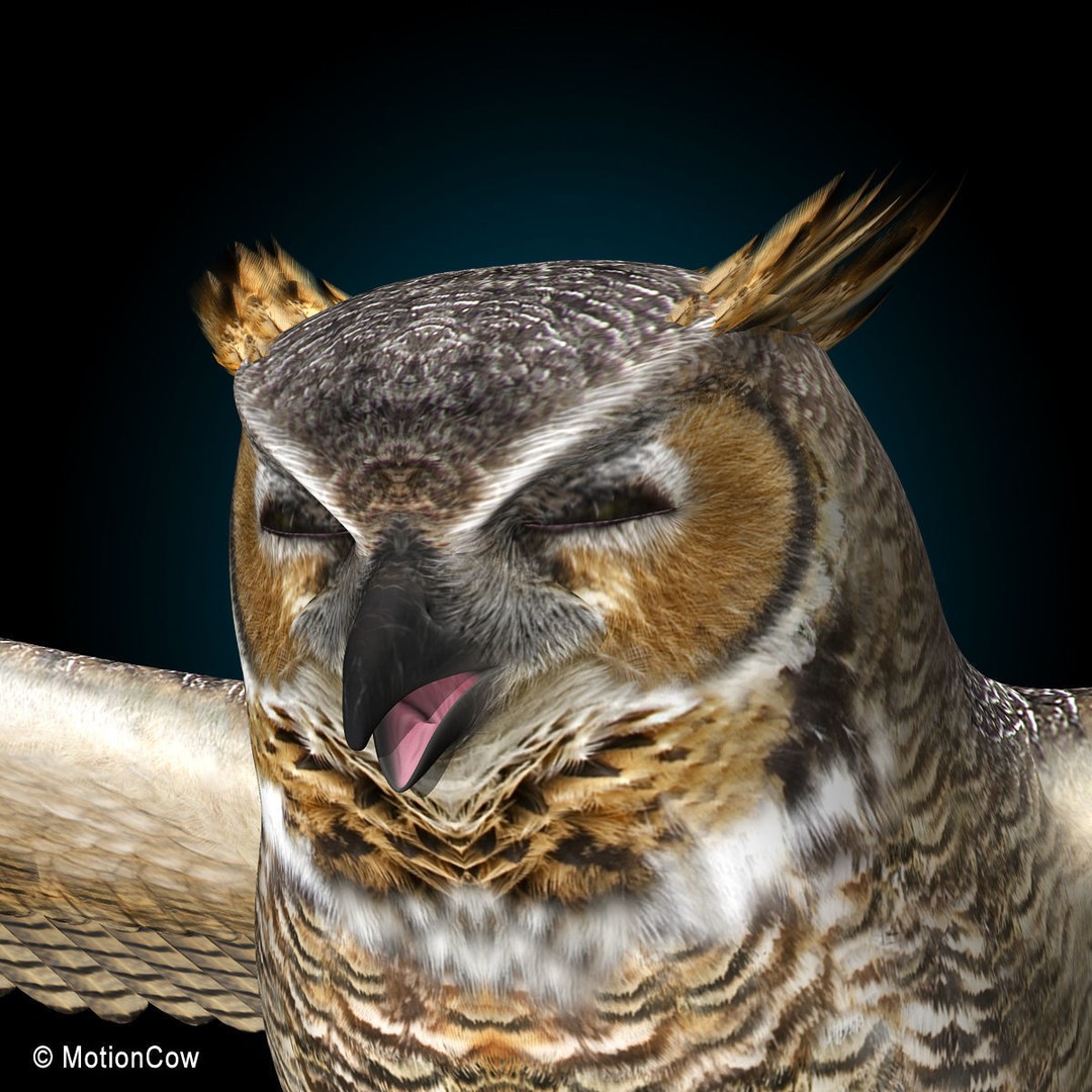 Great Horned Owl 3D Model – Rigged Animated Flight Asset, FBX - View 12