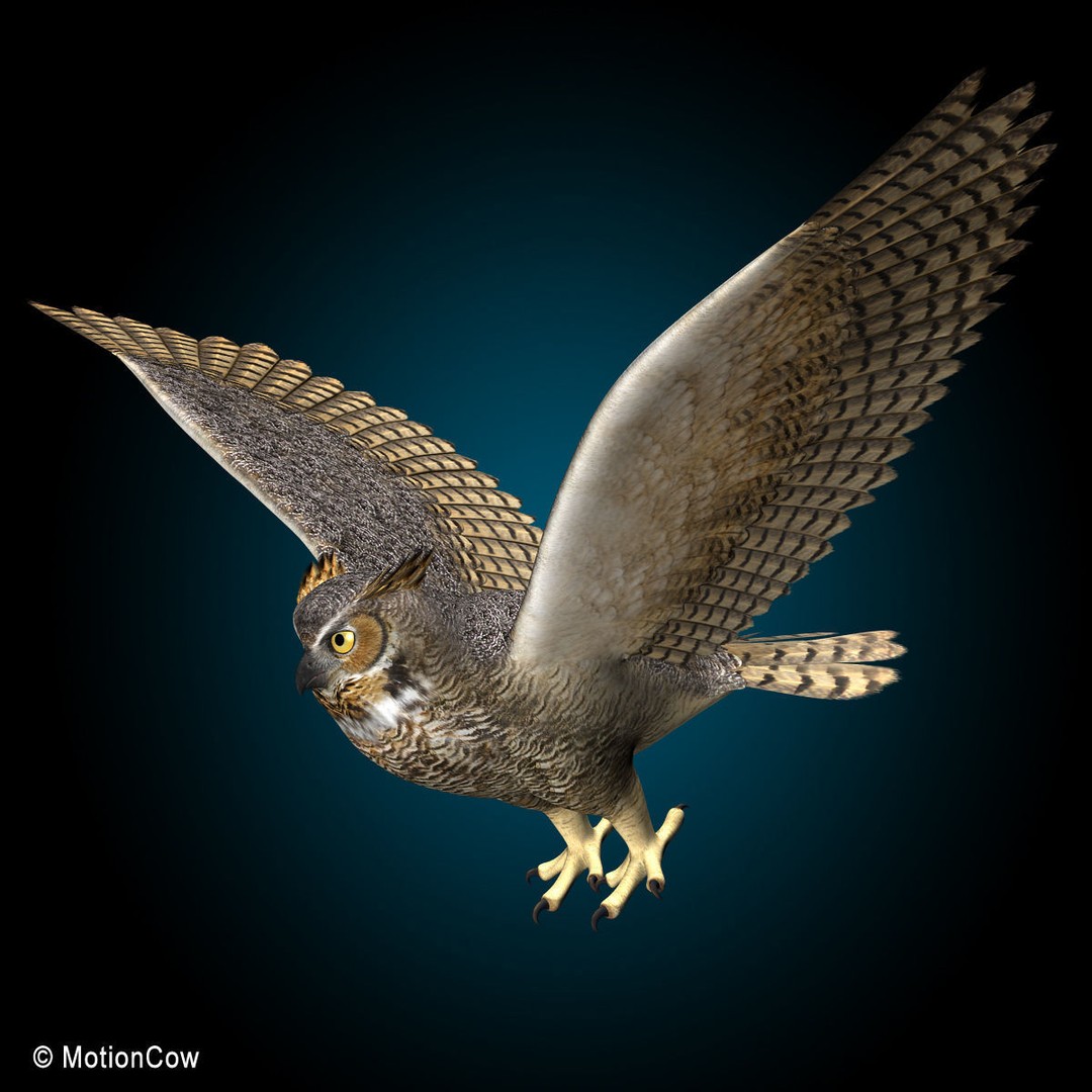 Great Horned Owl 3D Model – Rigged Animated Flight Asset, FBX - View 3