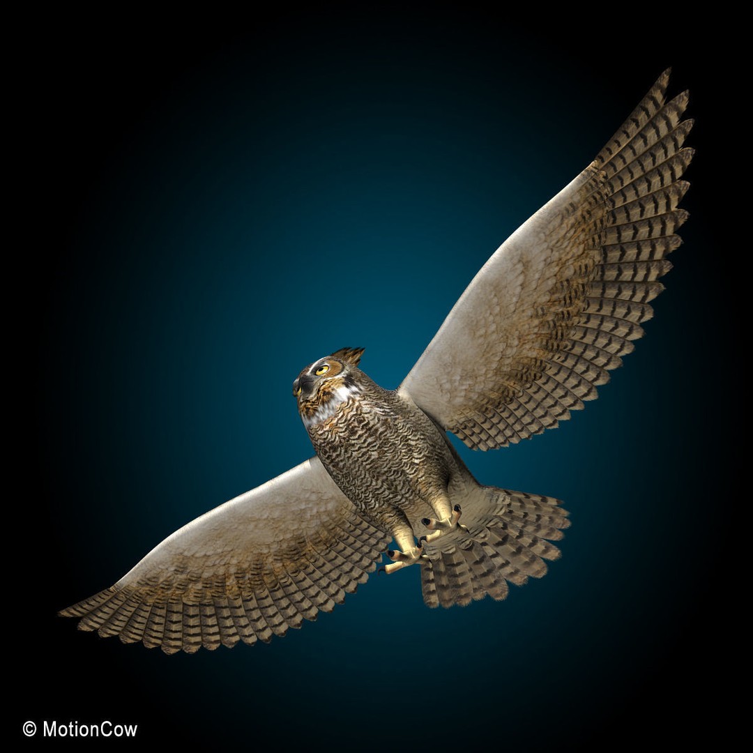 Great Horned Owl 3D Model – Rigged Animated Flight Asset, FBX - View 4