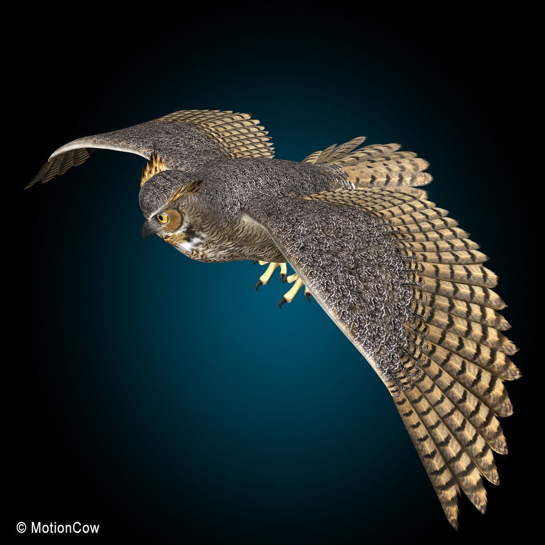 Great Horned Owl 3D Model – Rigged Animated Flight Asset, FBX - View 5