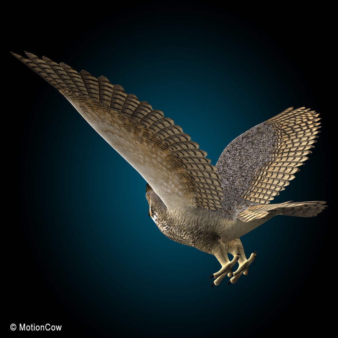 Great Horned Owl 3D Model – Rigged Animated Flight Asset, FBX - View 6