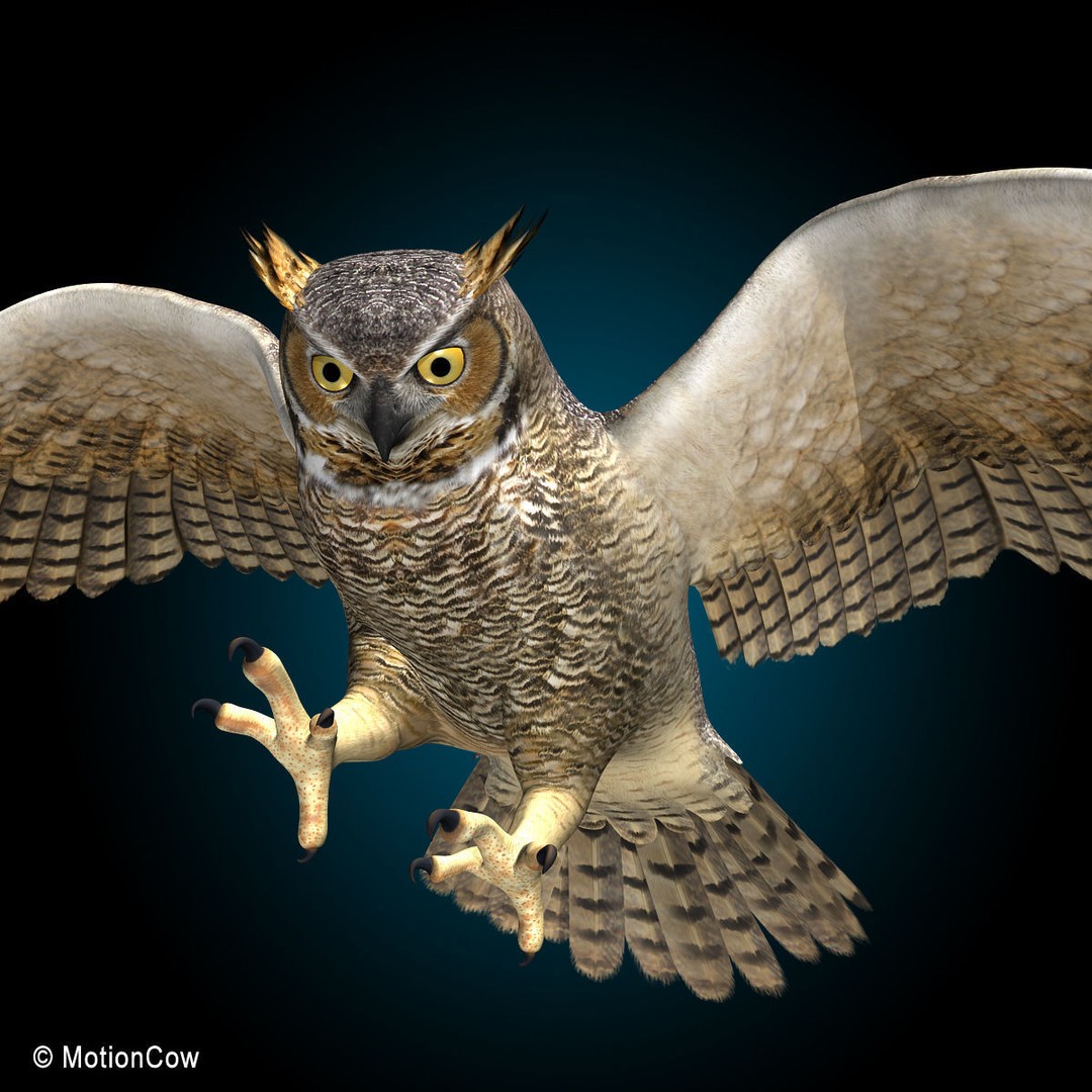 Great Horned Owl 3D Model – Rigged Animated Flight Asset, FBX - View 7