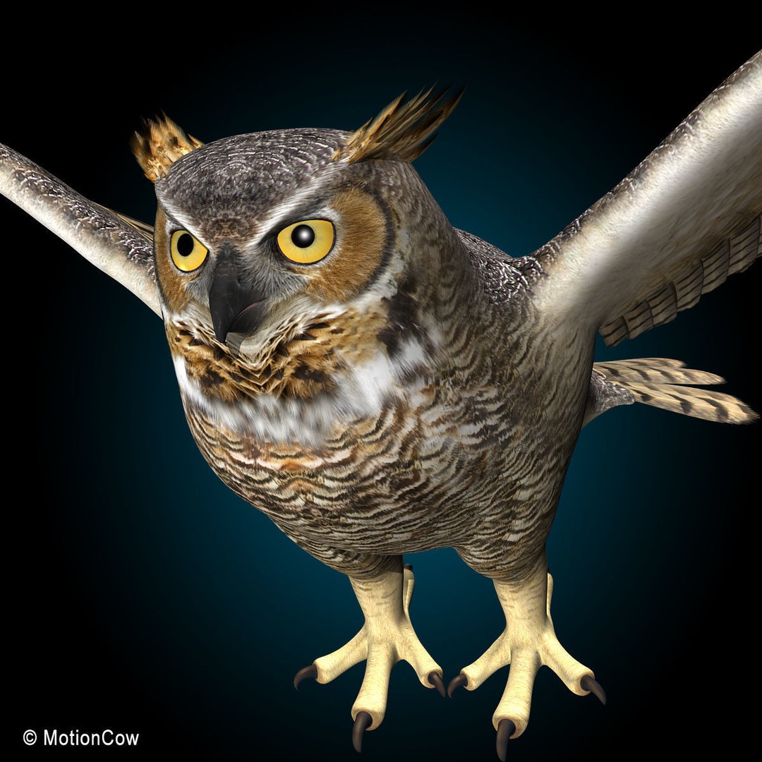 Great Horned Owl 3D Model – Rigged Animated Flight Asset, FBX - View 9