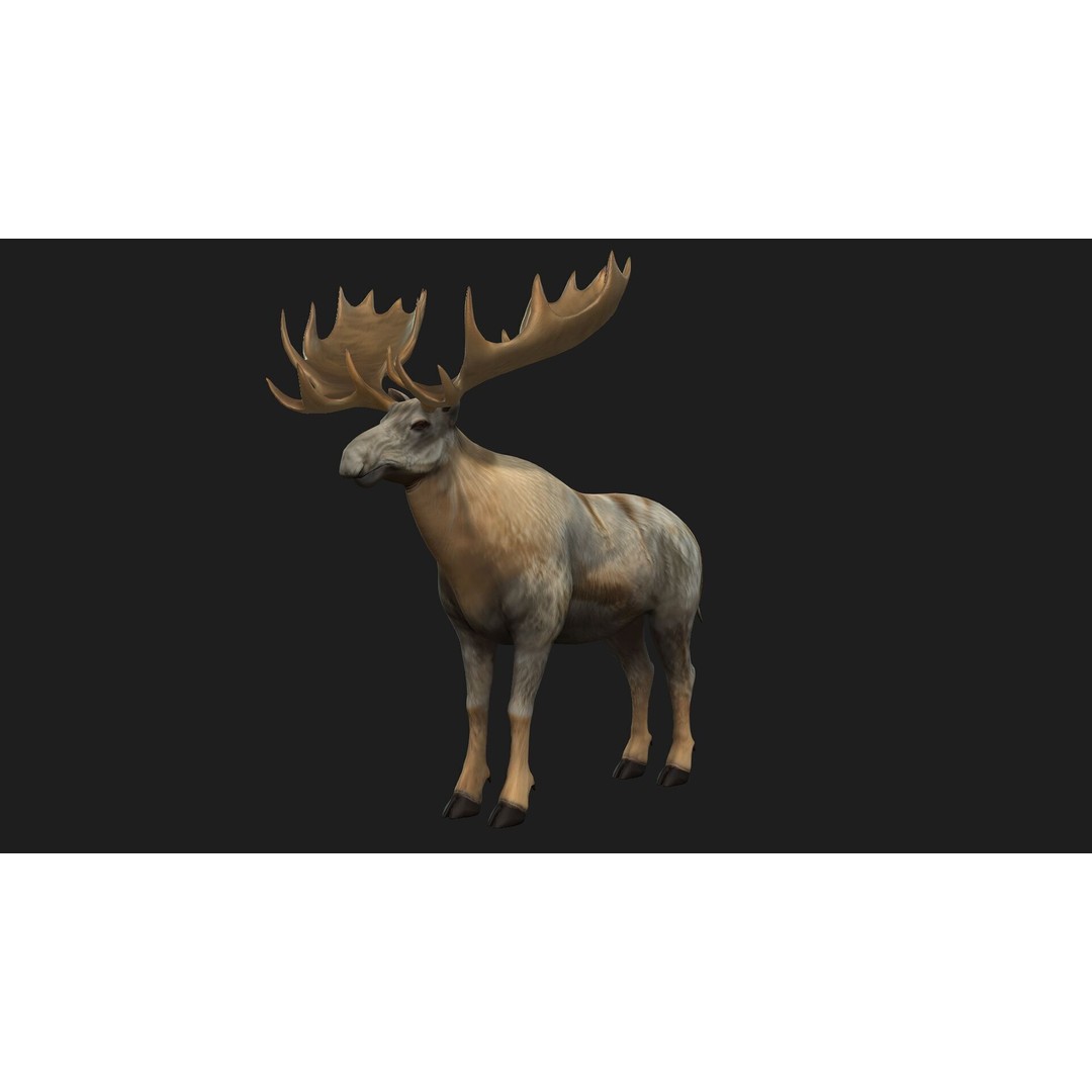 Moose 3D Model – Rigged Animal Asset with PBR Textures, FBX - View 11
