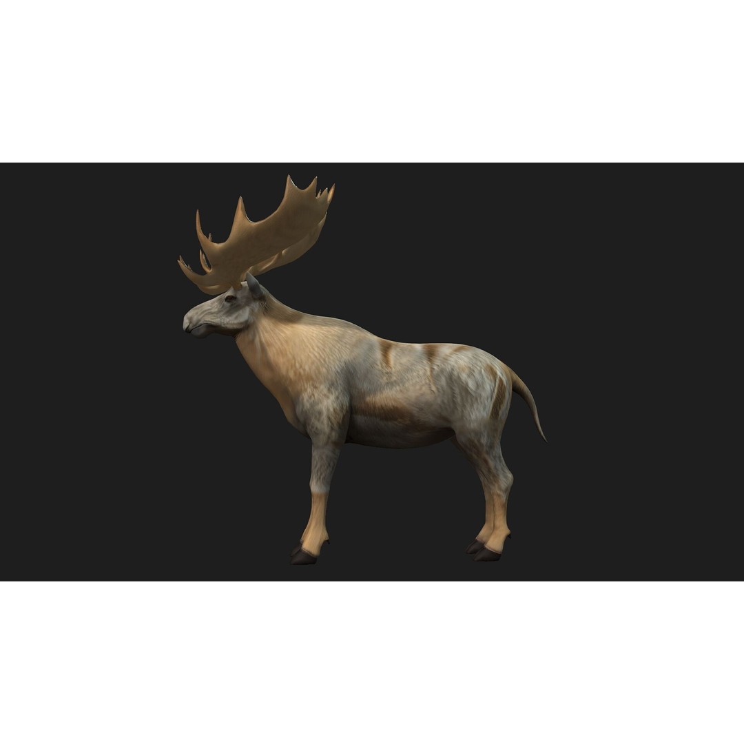 Moose 3D Model – Rigged Animal Asset with PBR Textures, FBX - View 12