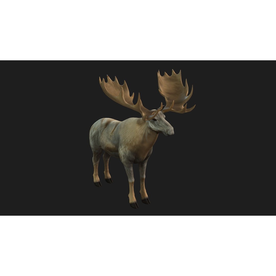 Moose 3D Model – Rigged Animal Asset with PBR Textures, FBX - View 13