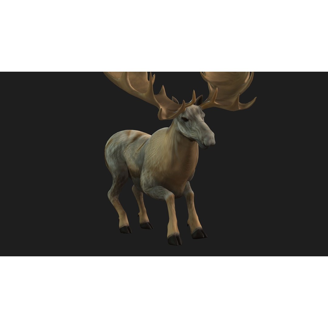 Moose 3D Model – Rigged Animal Asset with PBR Textures, FBX - View 16