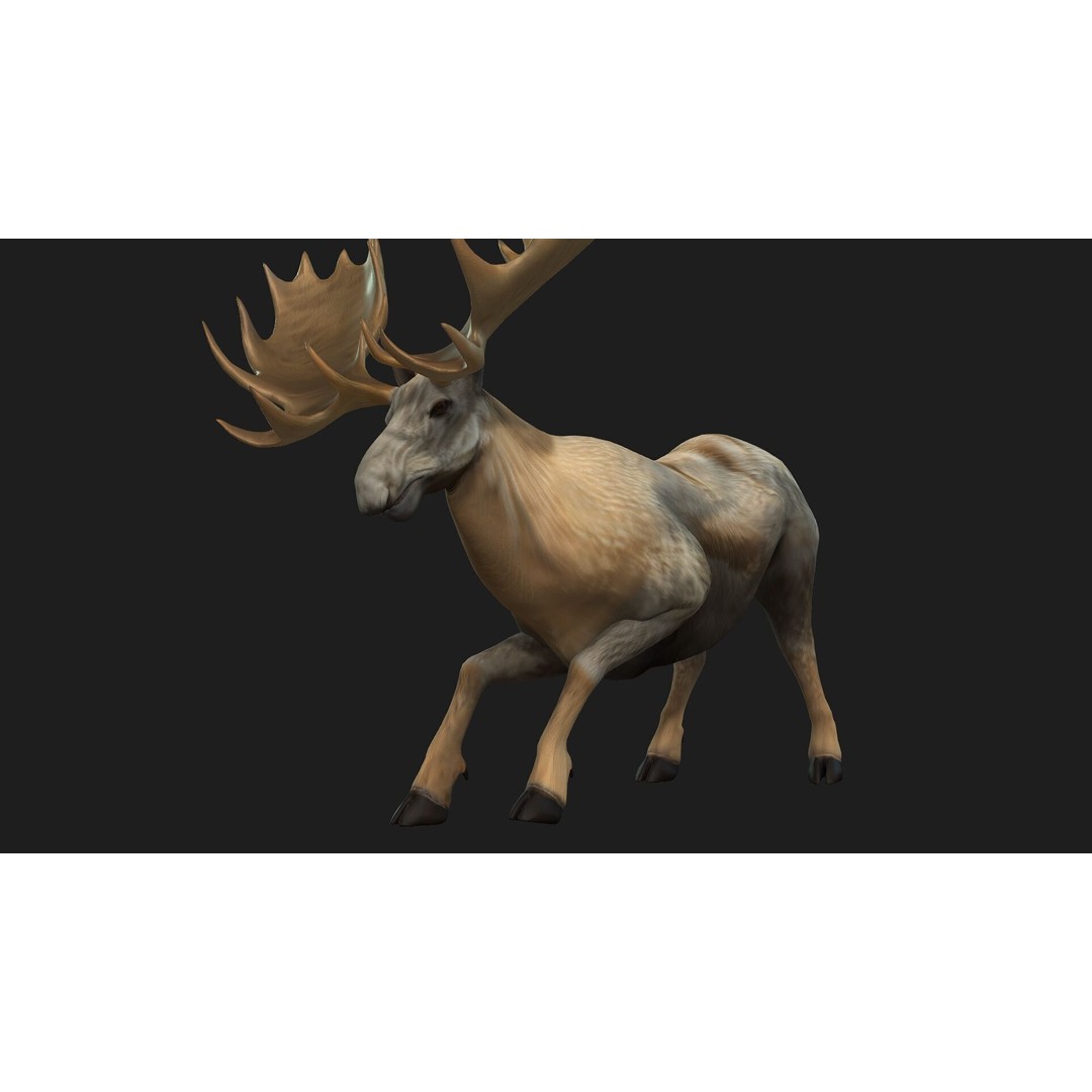 Moose 3D Model – Rigged Animal Asset with PBR Textures, FBX - View 17