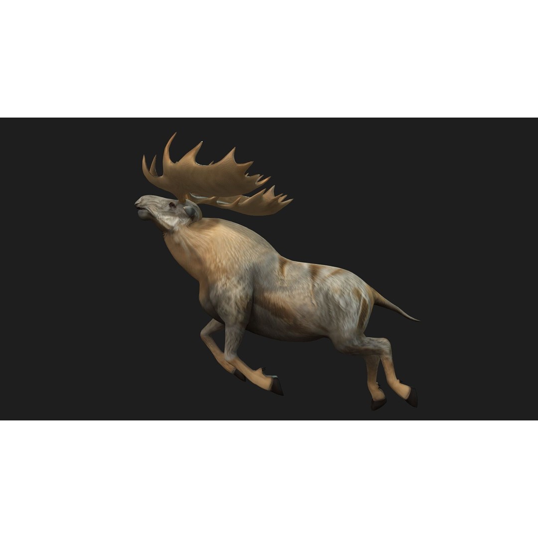 Moose 3D Model – Rigged Animal Asset with PBR Textures, FBX - View 18