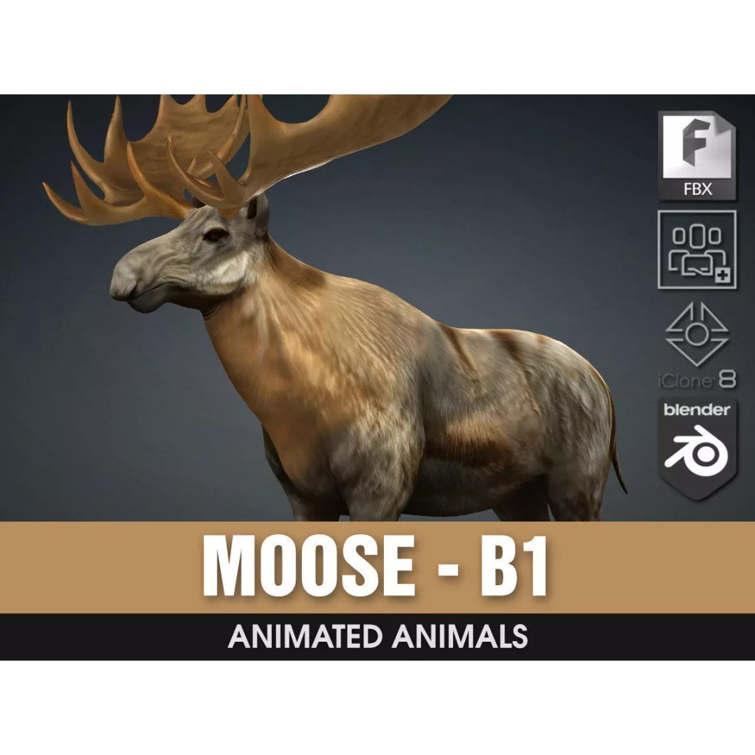 Moose 3D Model – Rigged Animal Asset with PBR Textures, FBX - View 2