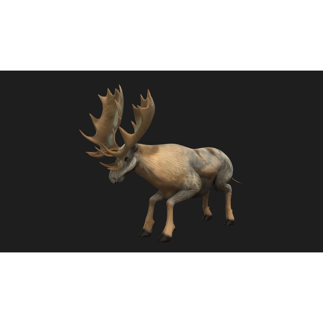 Moose 3D Model – Rigged Animal Asset with PBR Textures, FBX - View 5