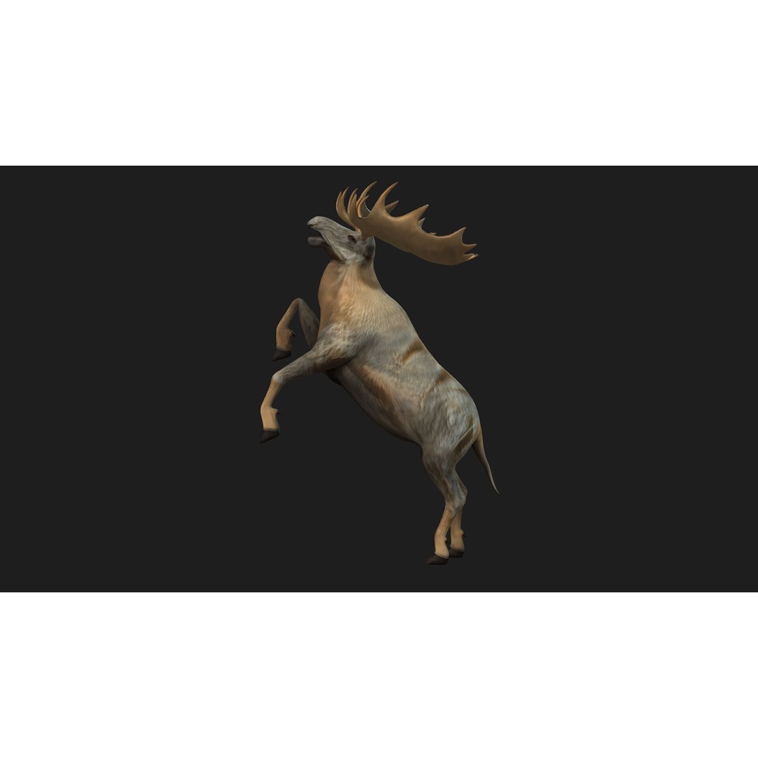 Moose 3D Model – Rigged Animal Asset with PBR Textures, FBX - View 6