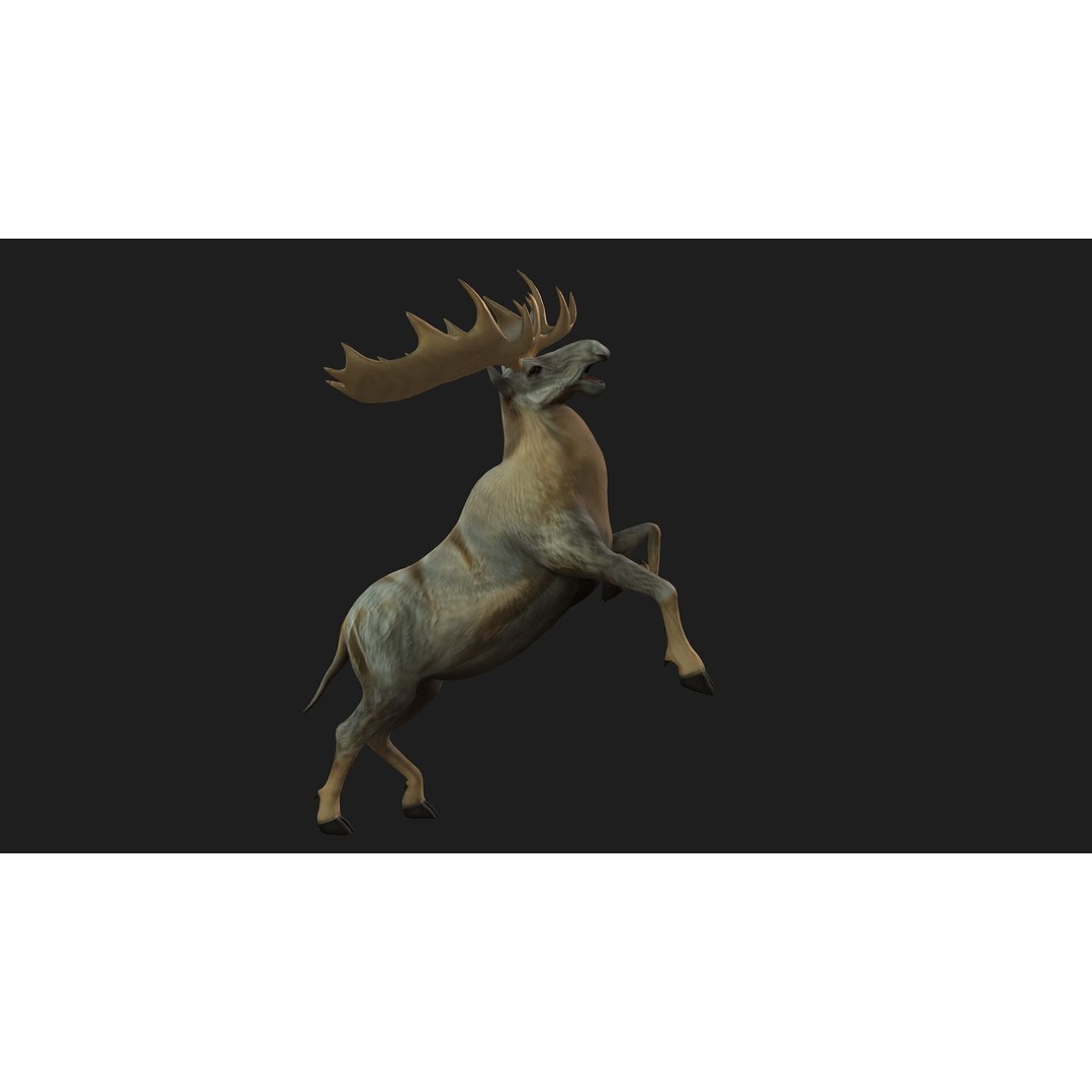 Moose 3D Model – Rigged Animal Asset with PBR Textures, FBX - View 7