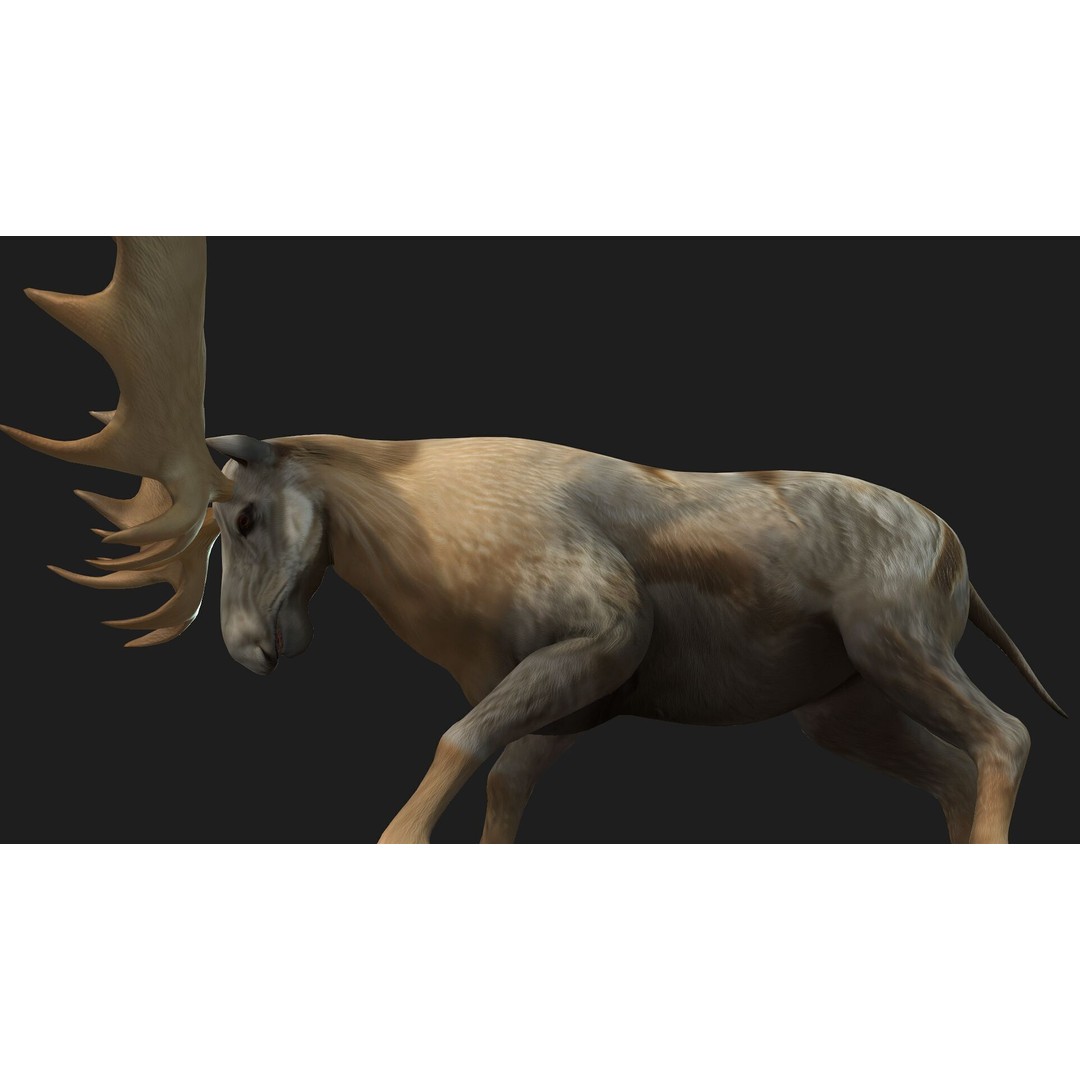 Moose 3D Model – Rigged Animal Asset with PBR Textures, FBX - View 8
