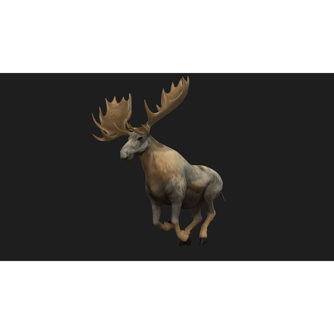 Moose 3D Model – Rigged Animal Asset with PBR Textures, FBX - View 9