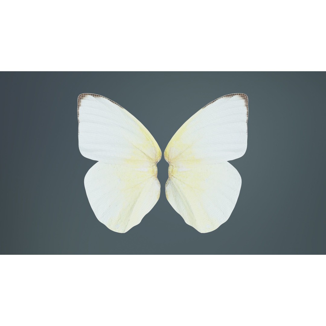 Common Emigrant 3D Model – Low Poly Insect with PBR Textures, FBX - View 11