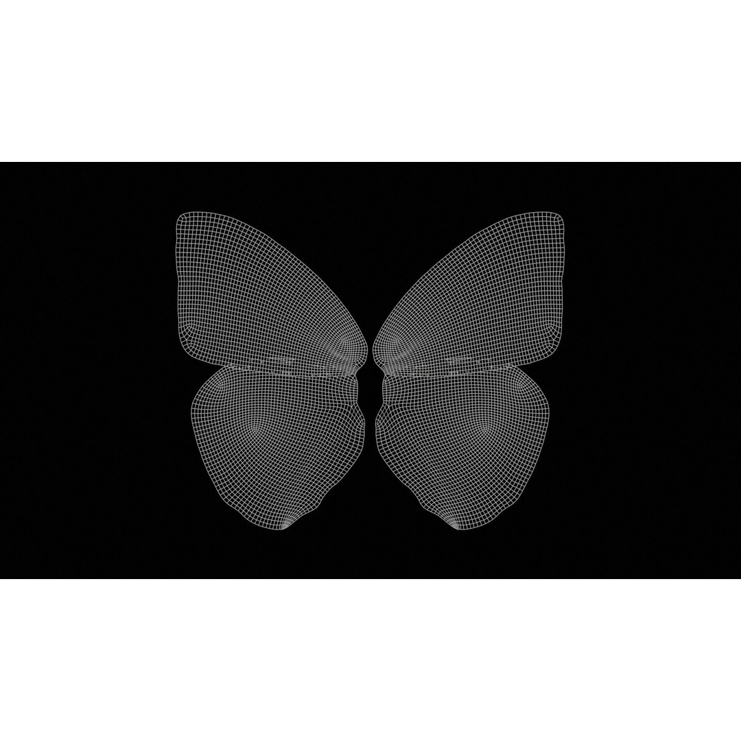 Common Emigrant 3D Model – Low Poly Insect with PBR Textures, FBX - View 13