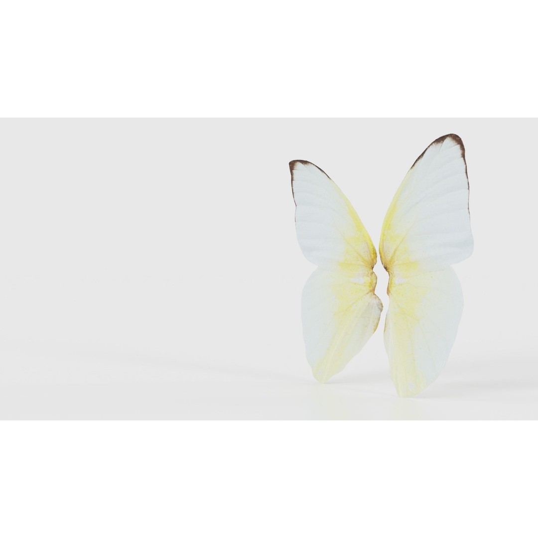 Common Emigrant 3D Model – Low Poly Insect with PBR Textures, FBX - View 27