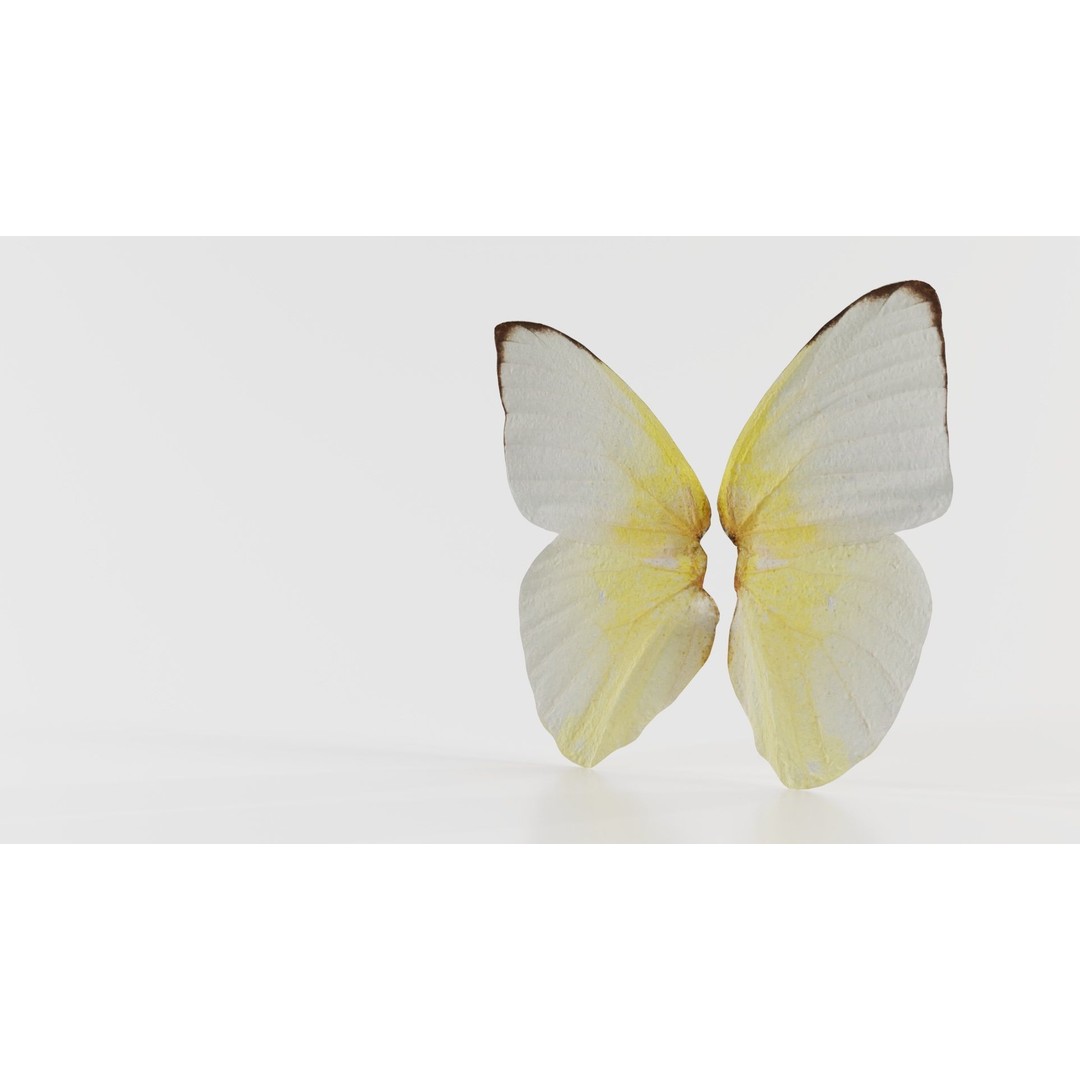Common Emigrant 3D Model – Low Poly Insect with PBR Textures, FBX - View 3