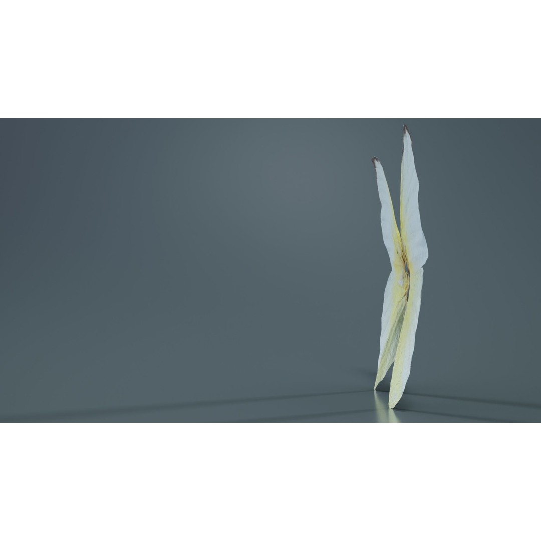 Common Emigrant 3D Model – Low Poly Insect with PBR Textures, FBX - View 6