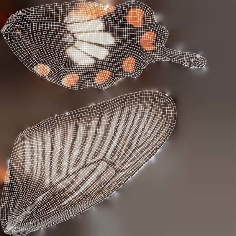 Common Rose 3D Model – Low Poly Insect with PBR Textures, FBX - View 16