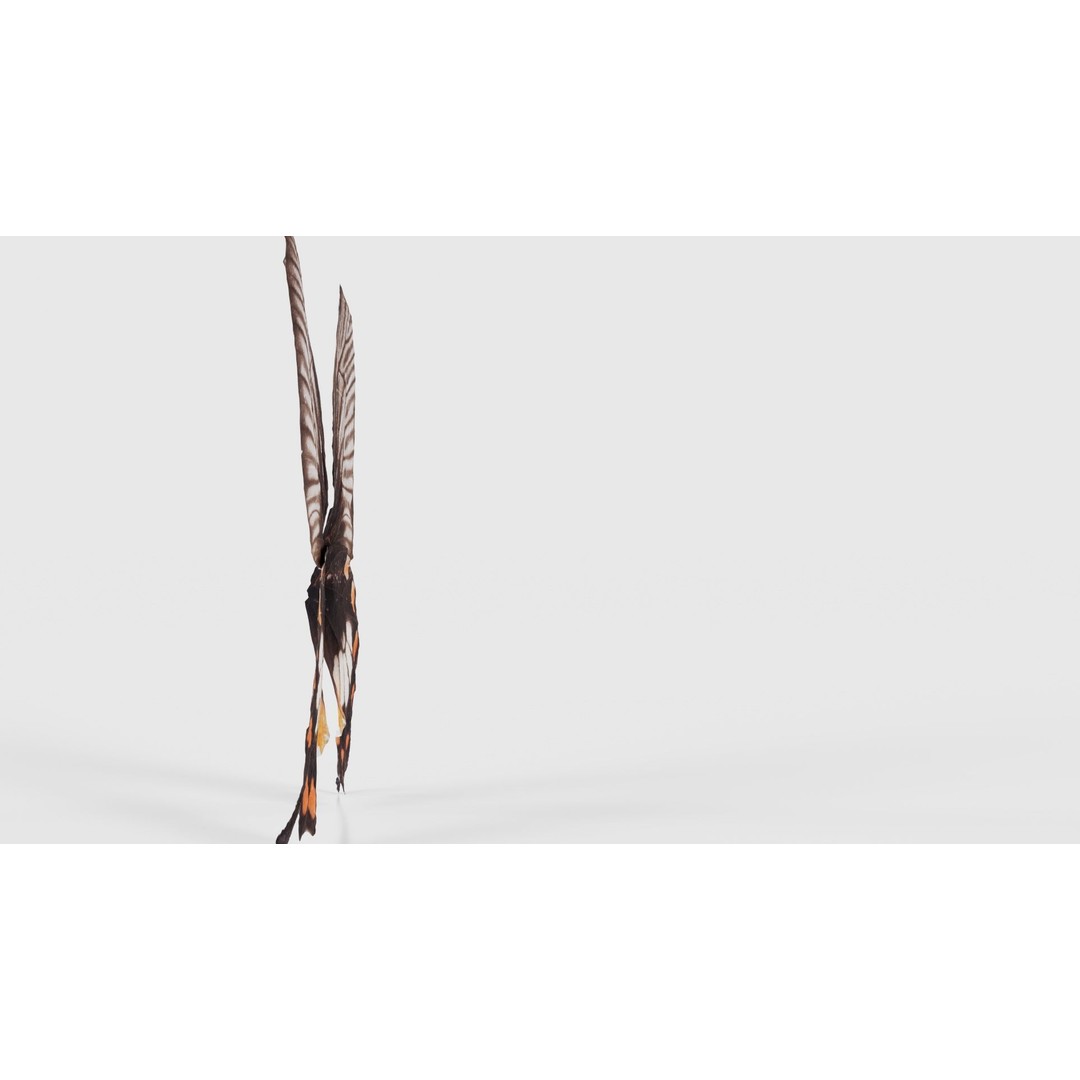 Common Rose 3D Model – Low Poly Insect with PBR Textures, FBX - View 20