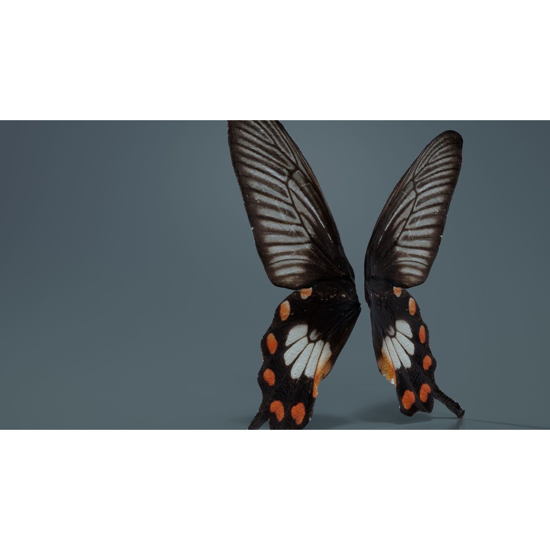 Common Rose 3D Model – Low Poly Insect with PBR Textures, FBX - View 3