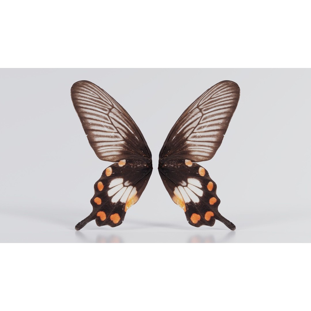 Common Rose 3D Model – Low Poly Insect with PBR Textures, FBX - View 4