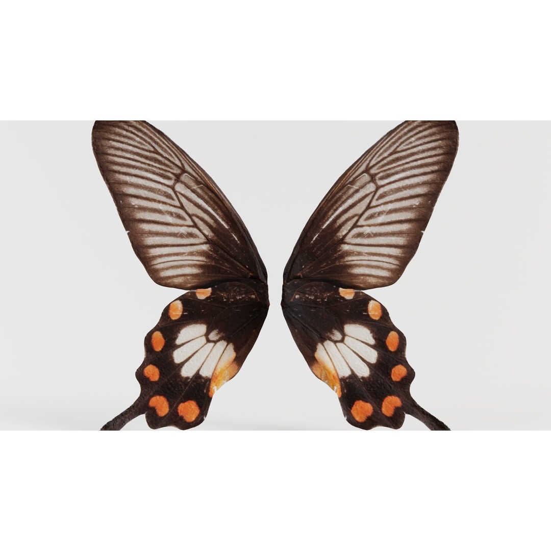 Common Rose 3D Model – Low Poly Insect with PBR Textures, FBX - View 7