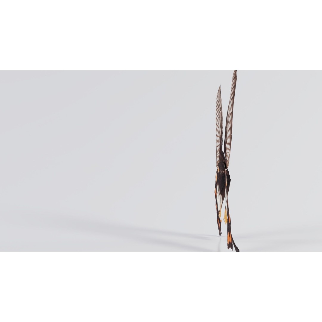Common Rose 3D Model – Low Poly Insect with PBR Textures, FBX - View 8