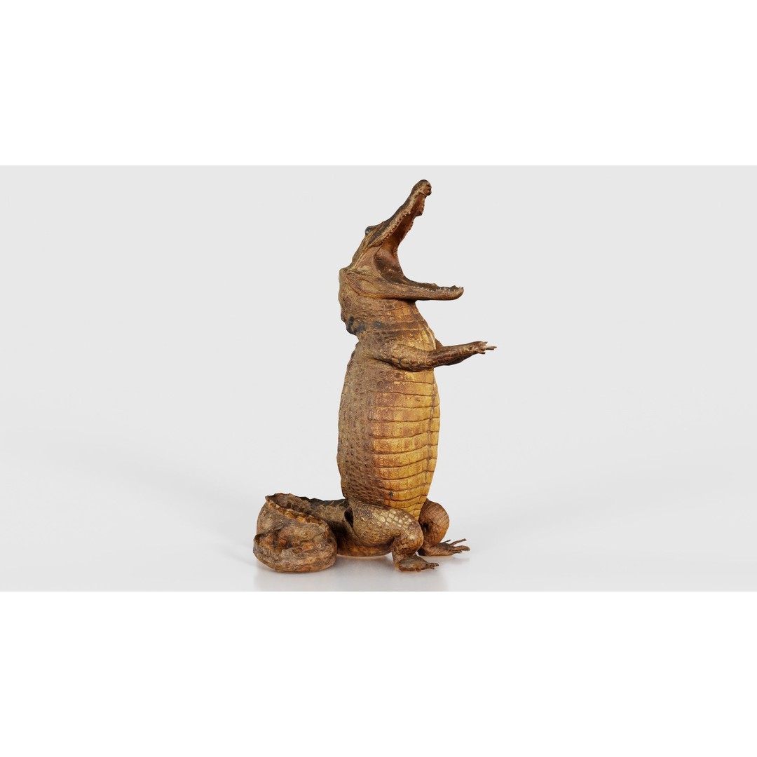 Crocodile Statue 3D Model – Low Poly PBR Asset for Blender, FBX - View 17