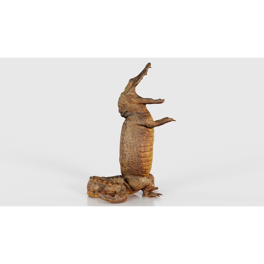 Crocodile Statue 3D Model – Low Poly PBR Asset for Blender, FBX - View 18