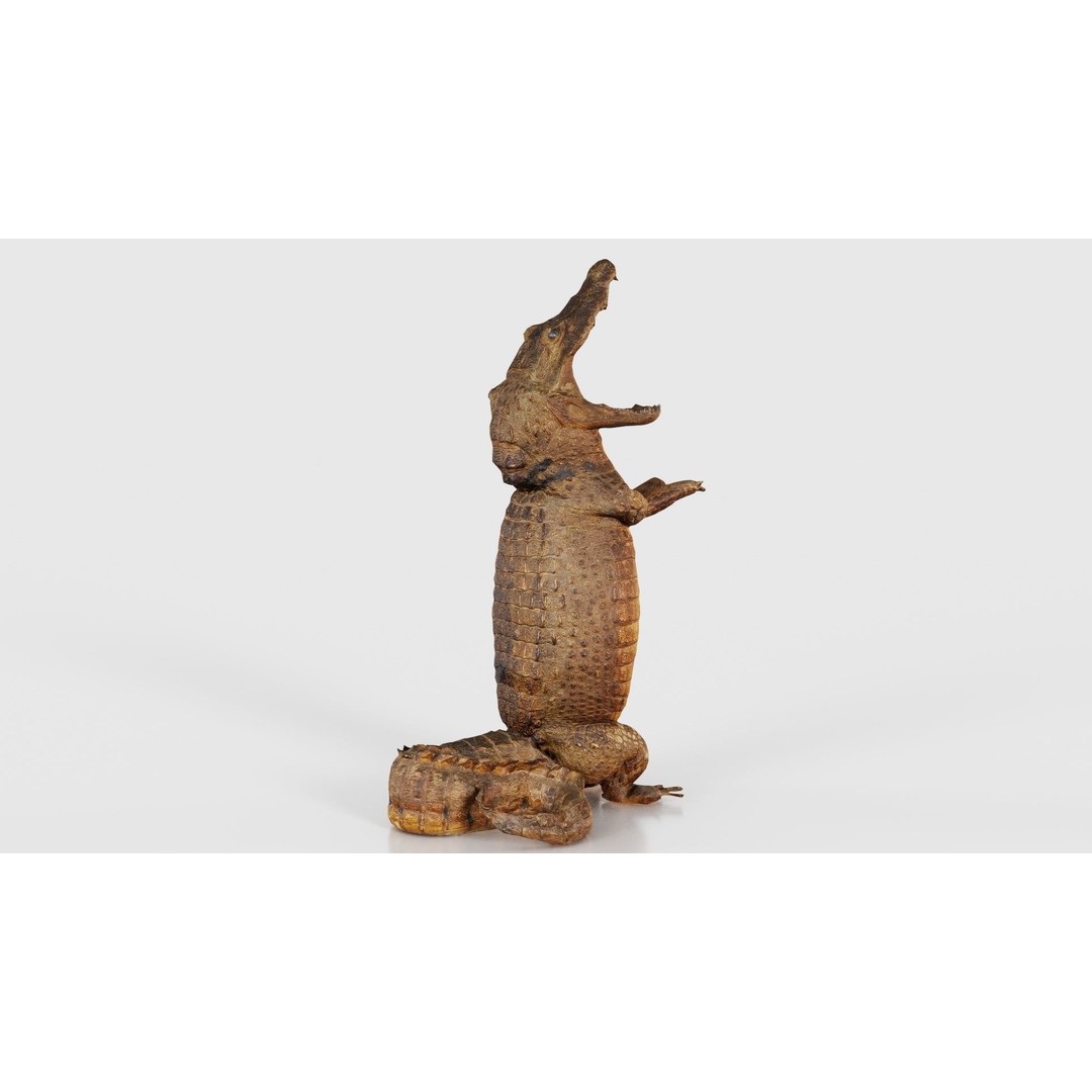 Crocodile Statue 3D Model – Low Poly PBR Asset for Blender, FBX - View 19