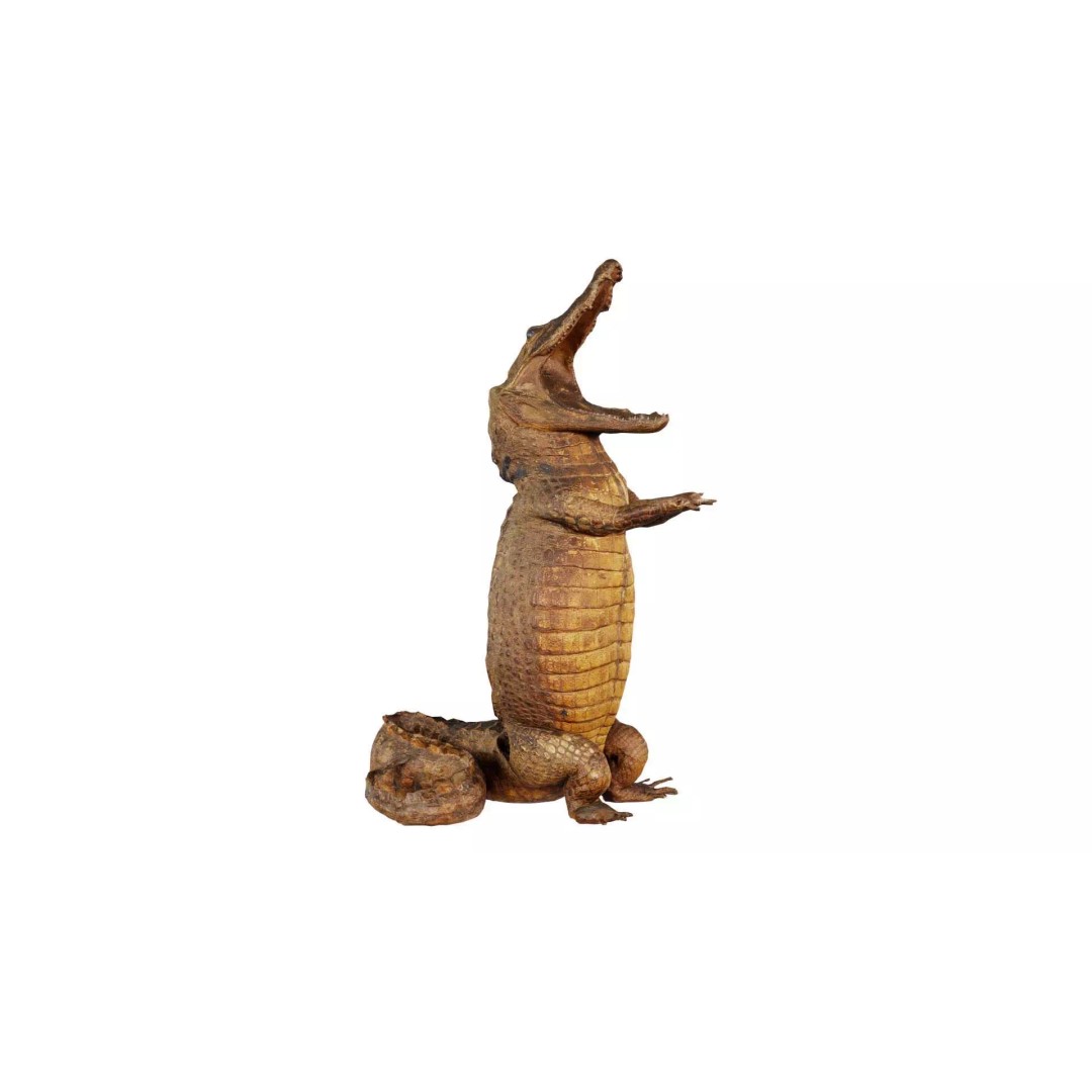 Crocodile Statue 3D Model – Low Poly PBR Asset for Blender, FBX - View 2