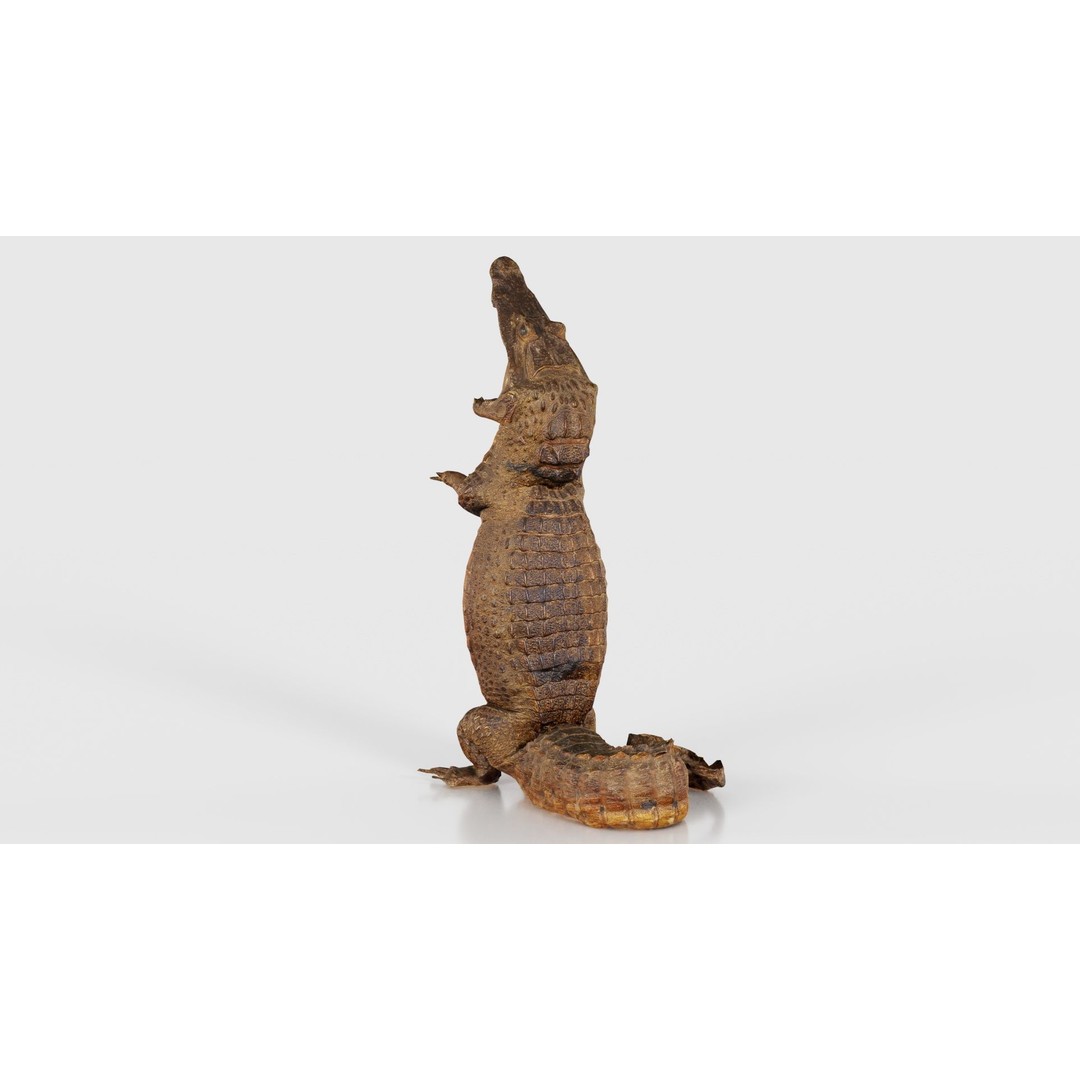 Crocodile Statue 3D Model – Low Poly PBR Asset for Blender, FBX - View 22