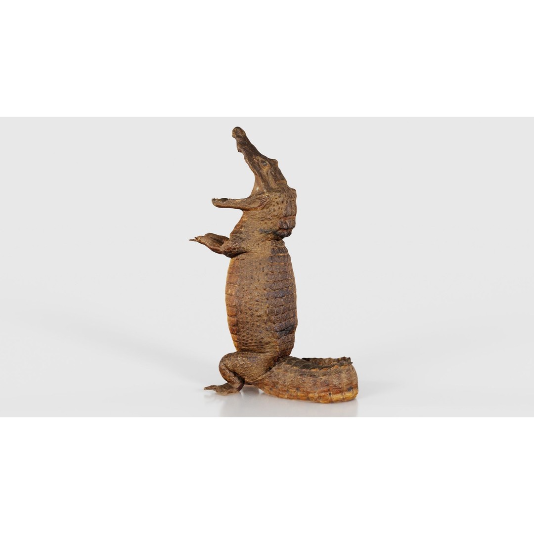 Crocodile Statue 3D Model – Low Poly PBR Asset for Blender, FBX - View 23