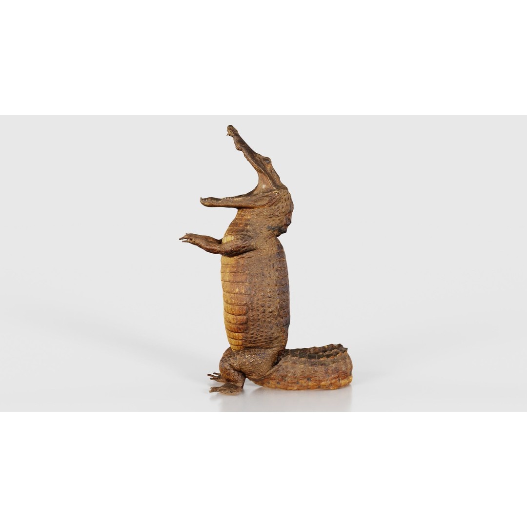 Crocodile Statue 3D Model – Low Poly PBR Asset for Blender, FBX - View 24